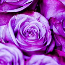 ddos在线攻击工具